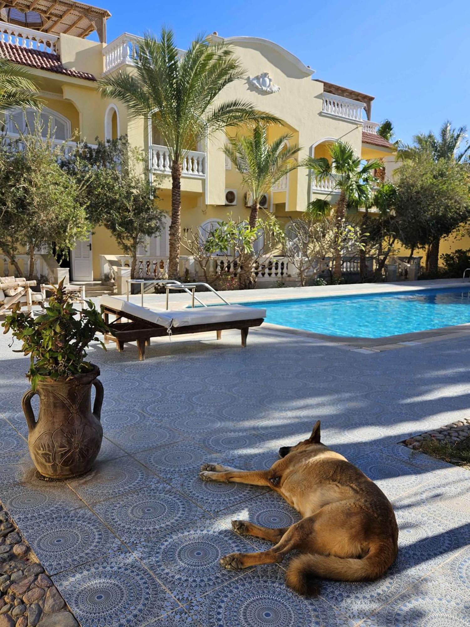 Villa Shahrazad الغردقة المظهر الخارجي الصورة